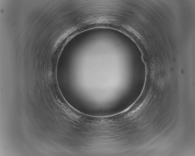 X0000069390922200605150939