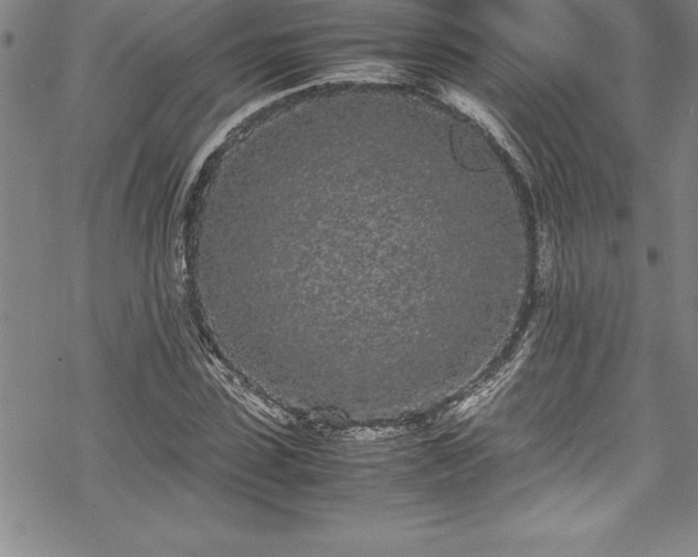 X0000069390923200605150939