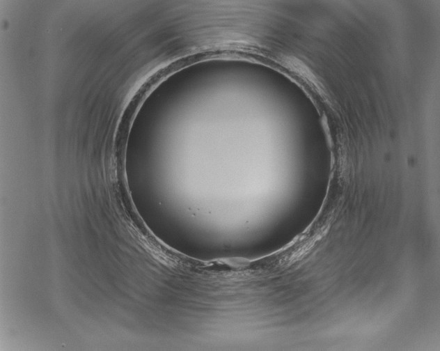 X0000069390924200605150939