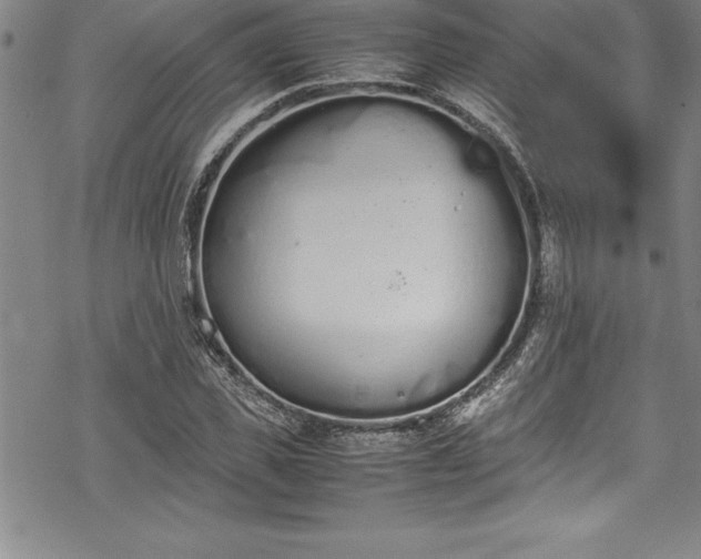 X0000069390925200605150939