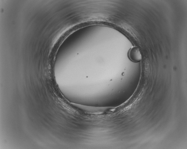 X0000069390926200605150939