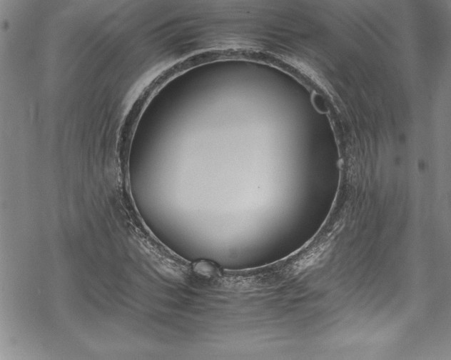 X0000069390927200605150939