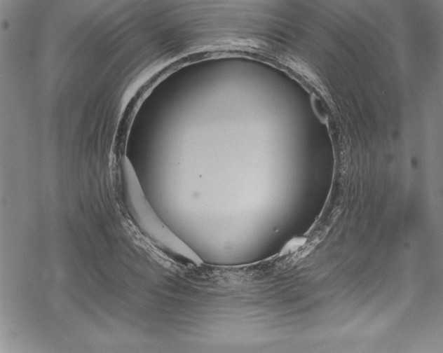 X0000069390928200605150939