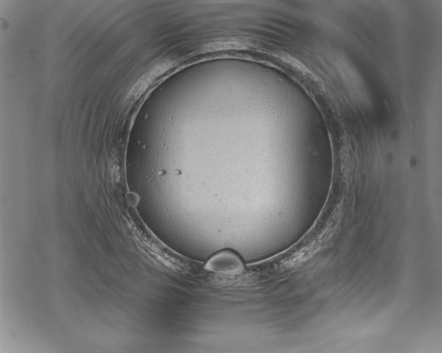 X0000069390929200605150939