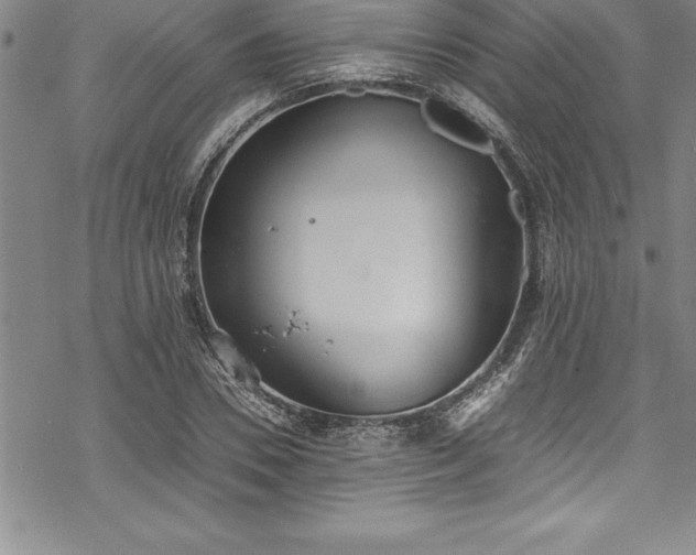 X0000069390930200605150939