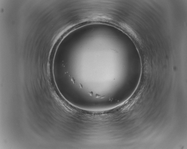 X0000069390932200605150939