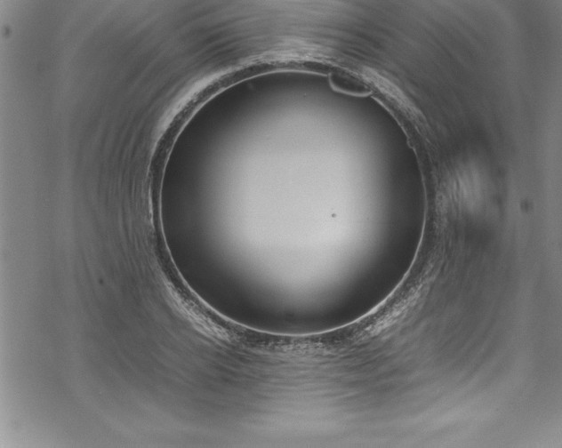 X0000069390934200605150939