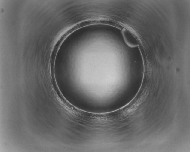 X0000069390935200605150939