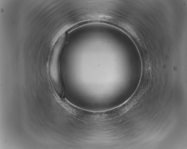 X0000069390936200605150939