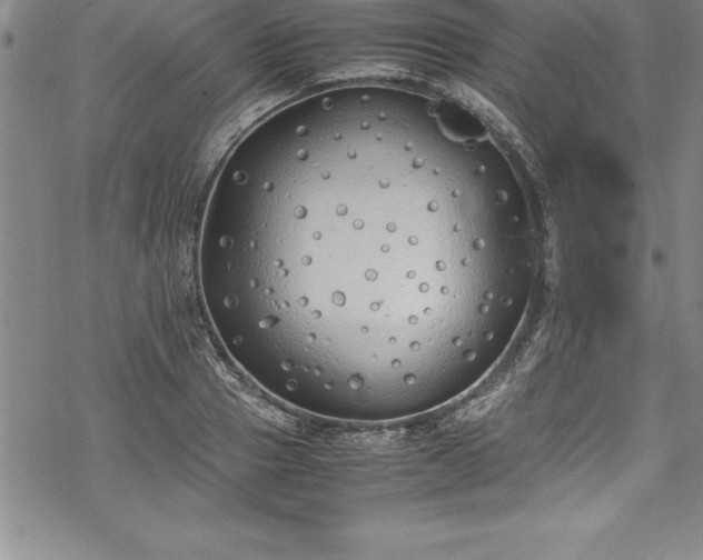 X0000069390937200605150939