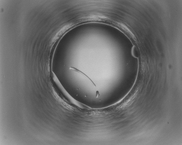 X0000069390938200605150939