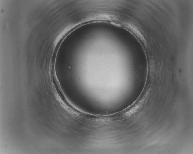 X0000069390944200605150939