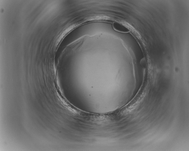 X0000069390945200605150940