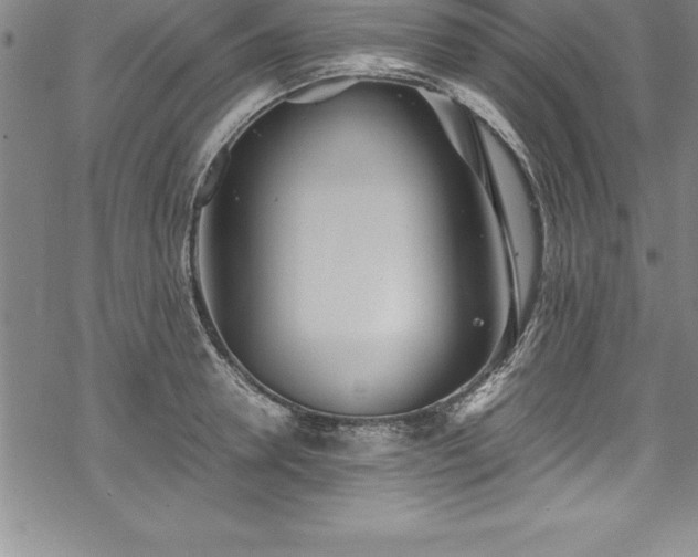 X0000069390946200605150940