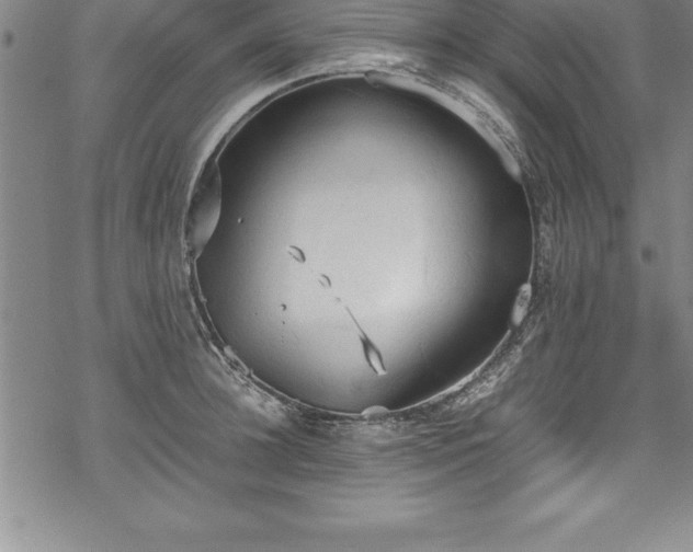 X0000069390948200605150940