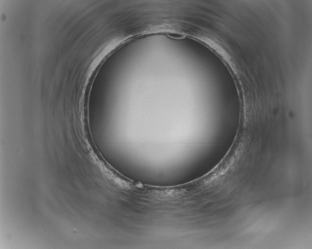 X0000069390949200605150940