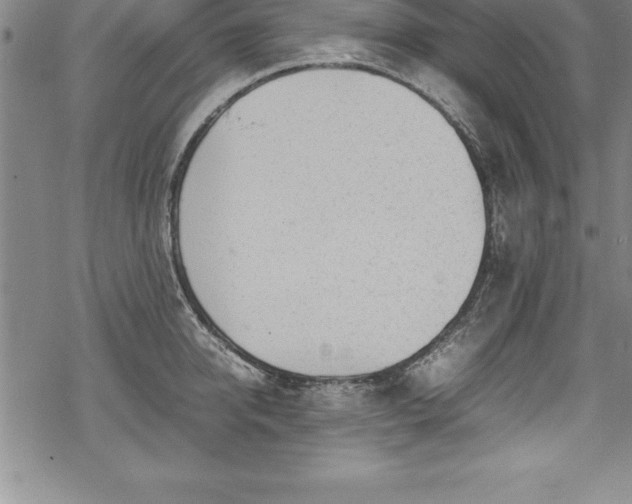 X0000069390950200605150940