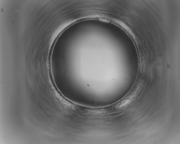 X0000069390951200605150940