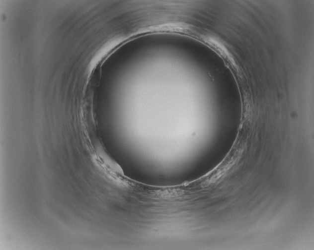 X0000069390952200605150940