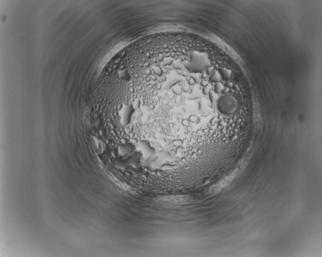 X0000069390953200605150940