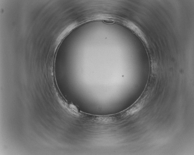 X0000069390954200605150940