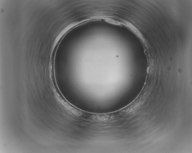 X0000069390955200605150940