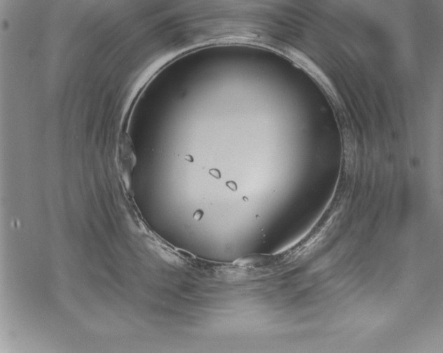 X0000069390956200605150940