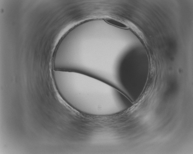 X0000069390958200605150940