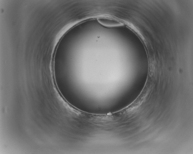 X0000069390959200605150940