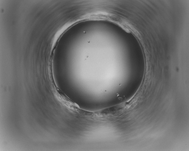 X0000069390960200605150940