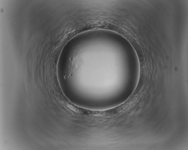 X0000069390961200605150939