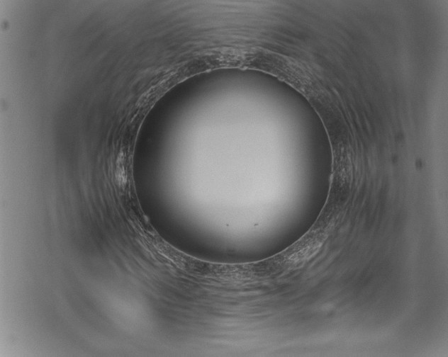 X0000069390962200605150939