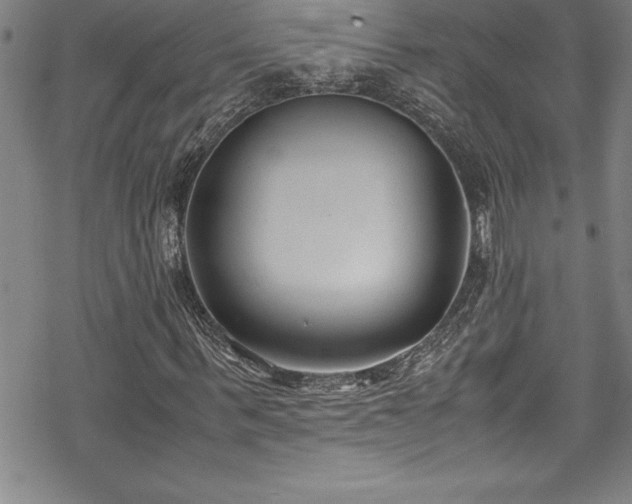 X0000069390963200605150939