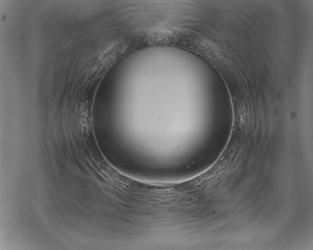 X0000069390964200605150939