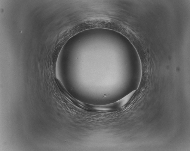 X0000069390965200605150939