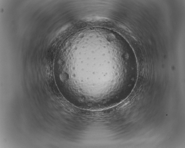 X0000069390966200605150939