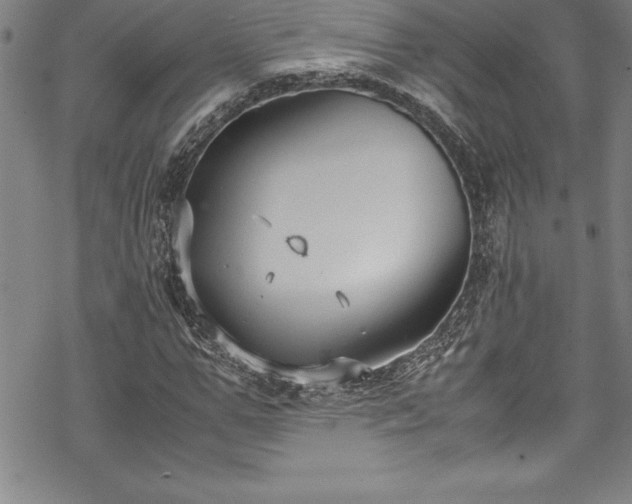 X0000069390967200605150939