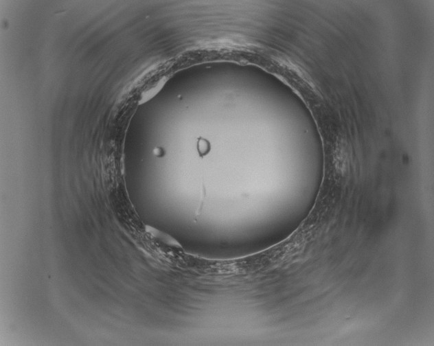 X0000069390968200605150939