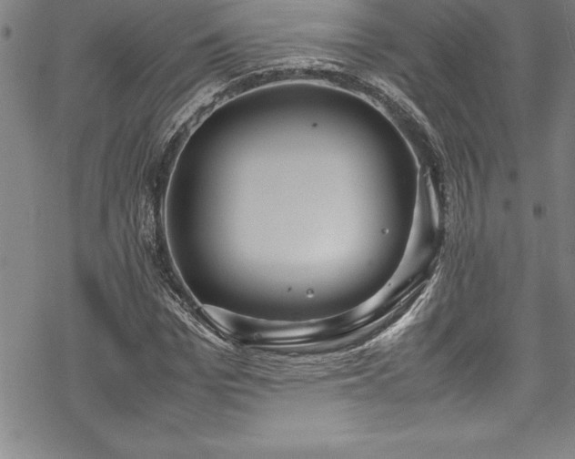 X0000069390969200605150939