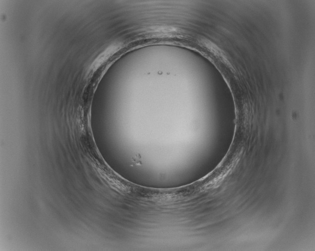 X0000069390970200605150939