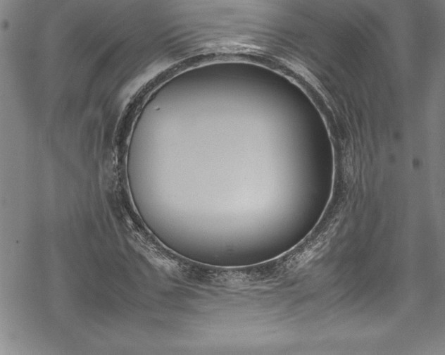 X0000069390971200605150939