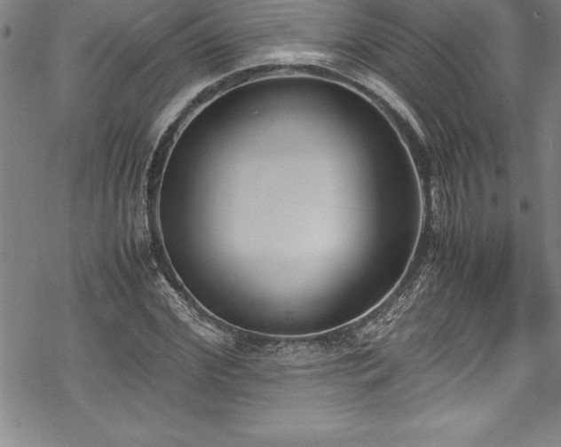 X0000069390972200605150939