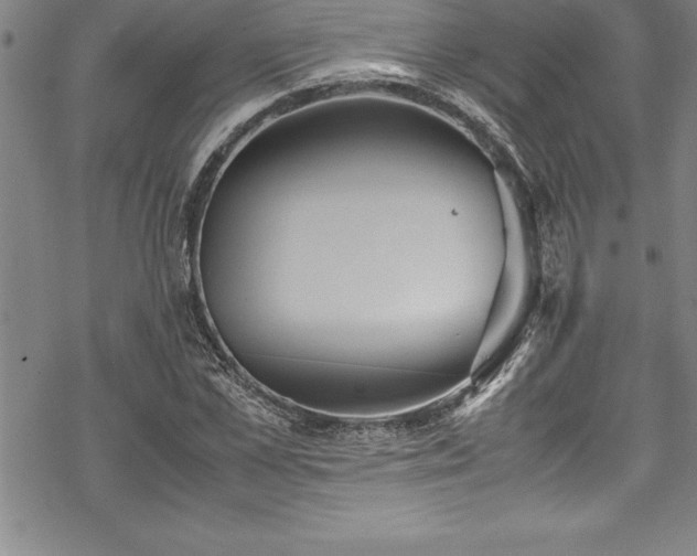 X0000069390973200605150939