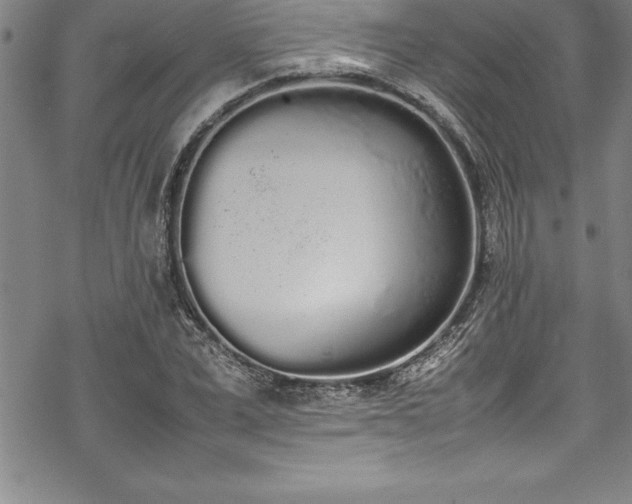 X0000069390975200605150939