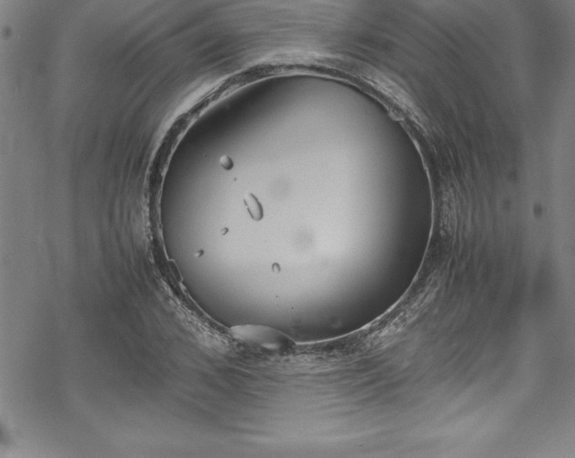 X0000069390976200605150939