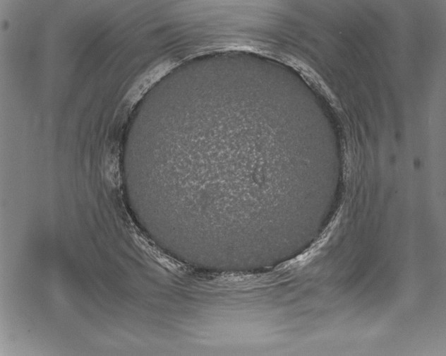 X0000069390977200605150939