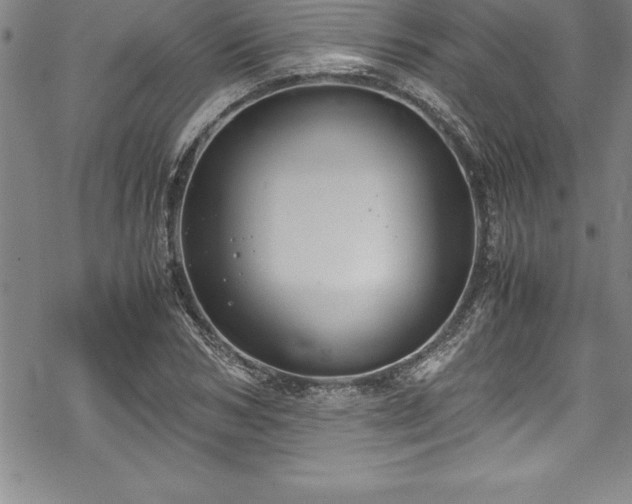 X0000069390978200605150939