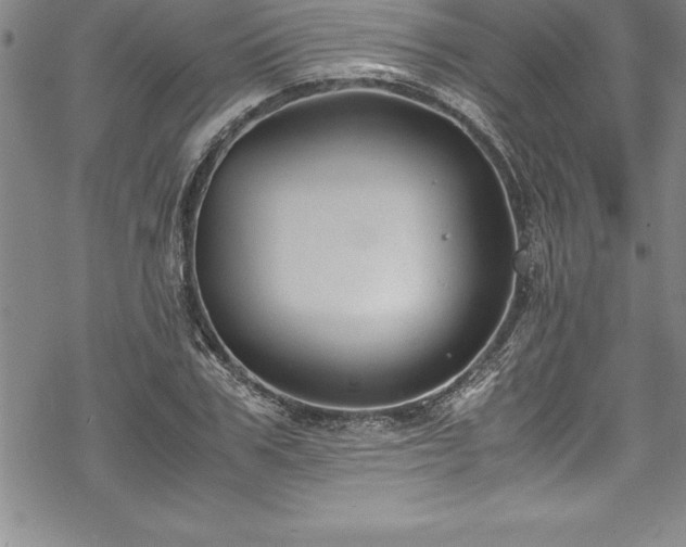 X0000069390979200605150939