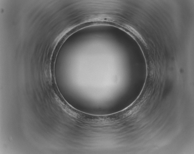 X0000069390980200605150939