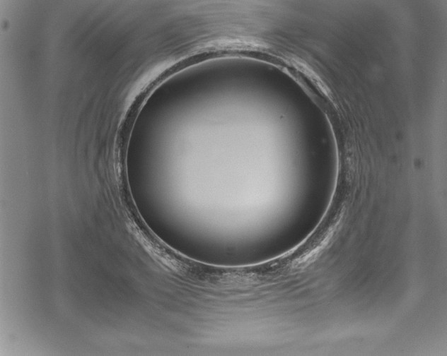 X0000069390981200605150939